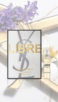 YSL u@I[fpt@