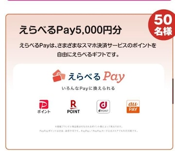 ^CAbvIׂpay5000~/ۗobO+pilߍ킹/100l