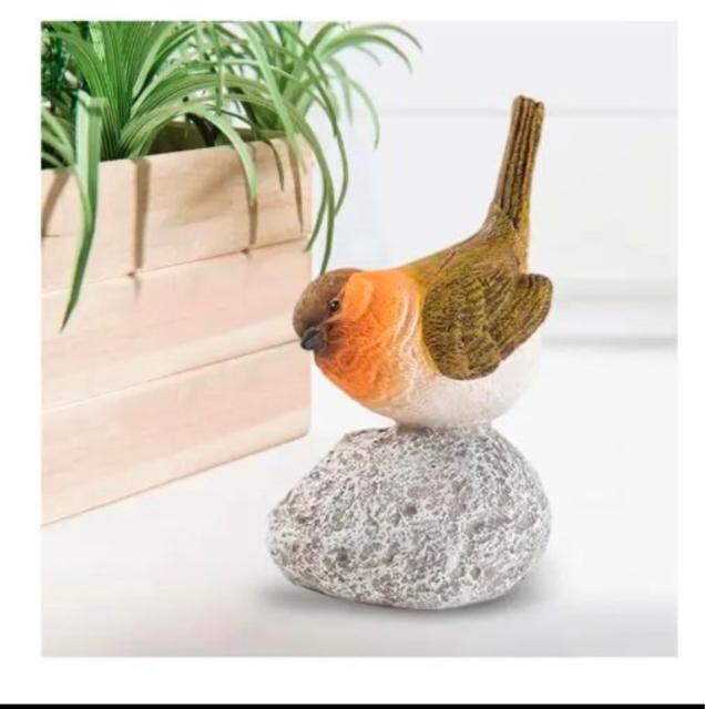 ̒̒oRj[peBIfXNgbv̒̒u, 6.5x6x12cm   CeA/Ct 