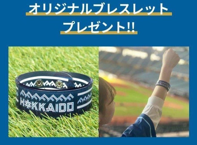 t@C^[YēcqI WE LOVE@HOKKAIDO & FIGHTERS vJjtH[ TuXbgt  W[/X|[c 