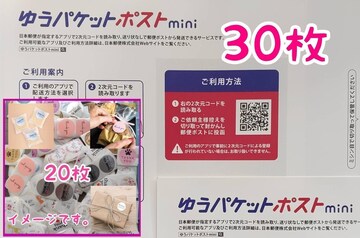 yzz䂤pPbg|Xgmini 30+TL[V[ 20