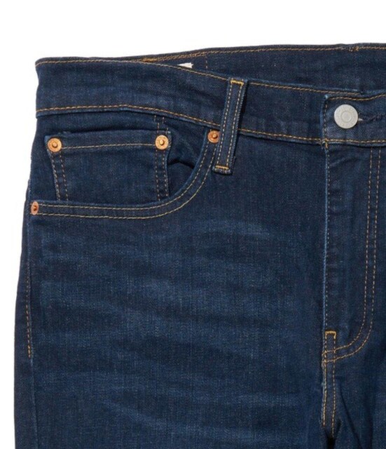 Vi JLEVIfS 511 SLIM _[NCfBS BIOLOGIA W36 L32  uh 