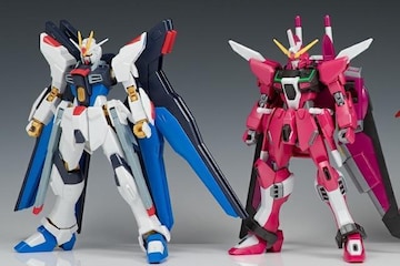 (g2P)HGCE S.FREEDOM + INFINITE JUSTICE V쾯