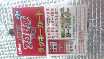 v싅`bvX2025 Jr[ bL[J[h
