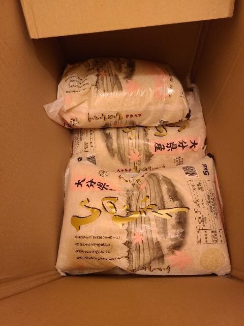 啪Y@NY@qmqJ5L 