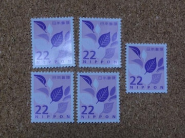 22~؎ 5 ʐ؎