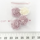 28*IWifRp[c@Yȑ@KN@21