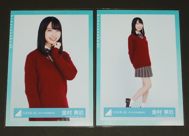 46@ ʐ^SRv@ @2018 H~ߑ  ^gObY 
