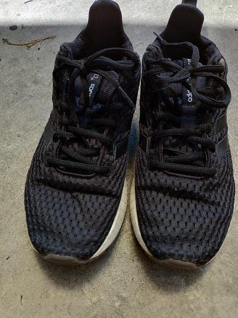 adidas   Questar CC   Xj[J[ QRcm  WMO  EH[LO  U  uh 