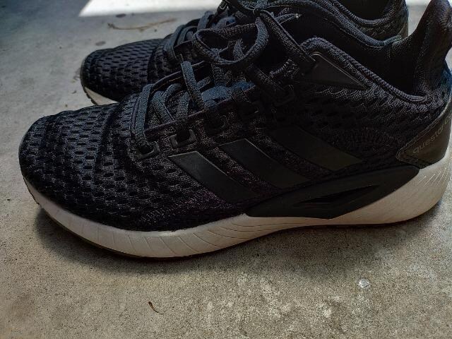 adidas   Questar CC   Xj[J[ QRcm  WMO  EH[LO  U  uh 