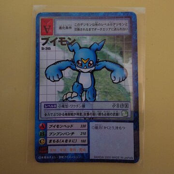 fW^X^[J[hQ[ uC St-245 1079