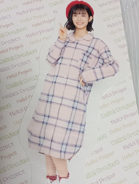 nvV[  zr[ 