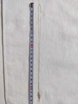 K10XChs`F[45cm
