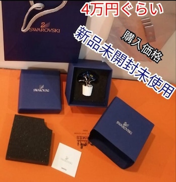 VigpJIuICeAXtXL[Swarovski Yȑ 