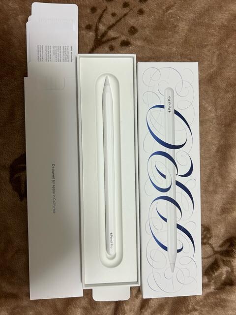 iPadPro11C`5256GB WiFif