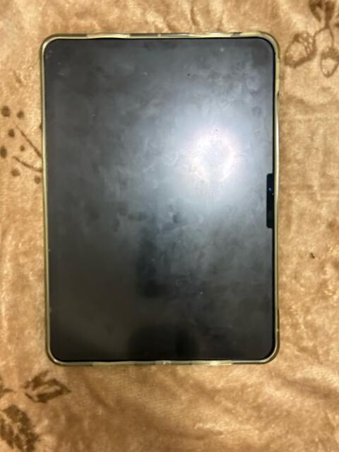 iPadPro11C`5256GB WiFif