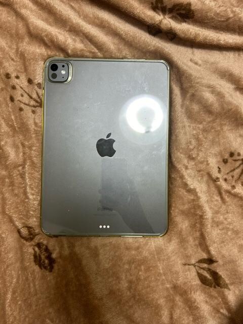 iPadPro11C`5256GB WiFif