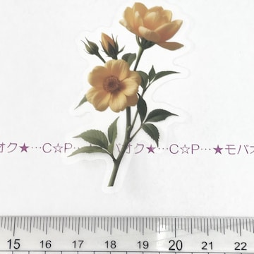 13*YȺװޭف@30