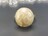 eԐ΃R[ΎwփOAAAVRΑ嗱_16U0623RYa