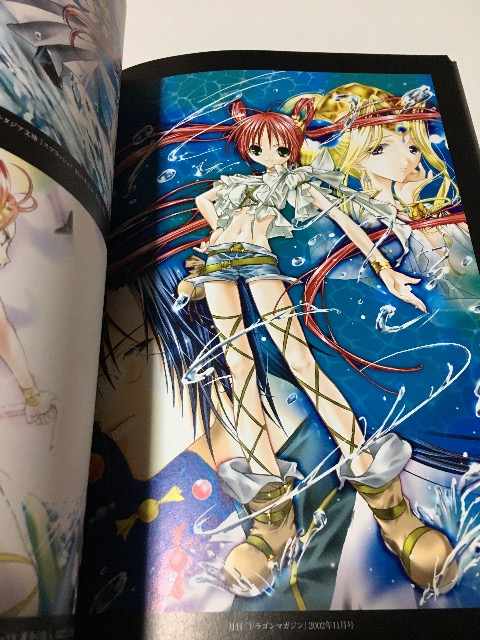 ピーチ姫　高画質HQ・HVブロマイドA4sizeポスター5枚セット Amazon｜アクセル・ワールド 黒雪姫2050 アニメ枕カバー/抱き枕