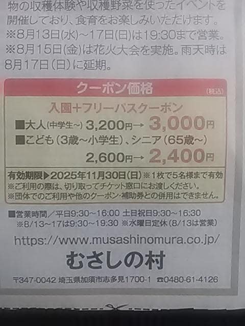 ނ̑At[pX5l  `Pbg/ 