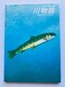 ELELނV@앨@lC`[KCh@U{@ Official Nature Guide Strategy PS