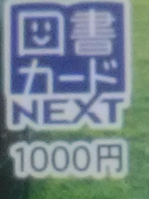 1000~}J[hVi 