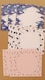 \Ё@o@[ Bird ]  RX