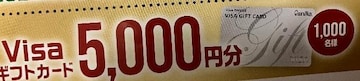 visaMtgJ[h5000~/1000l1