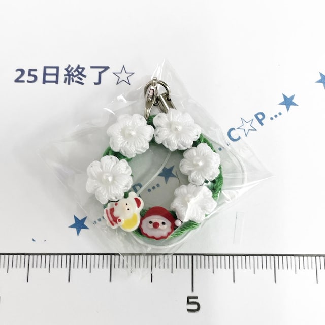25*nhCh*NX}X[X̃Xgbv@21 
