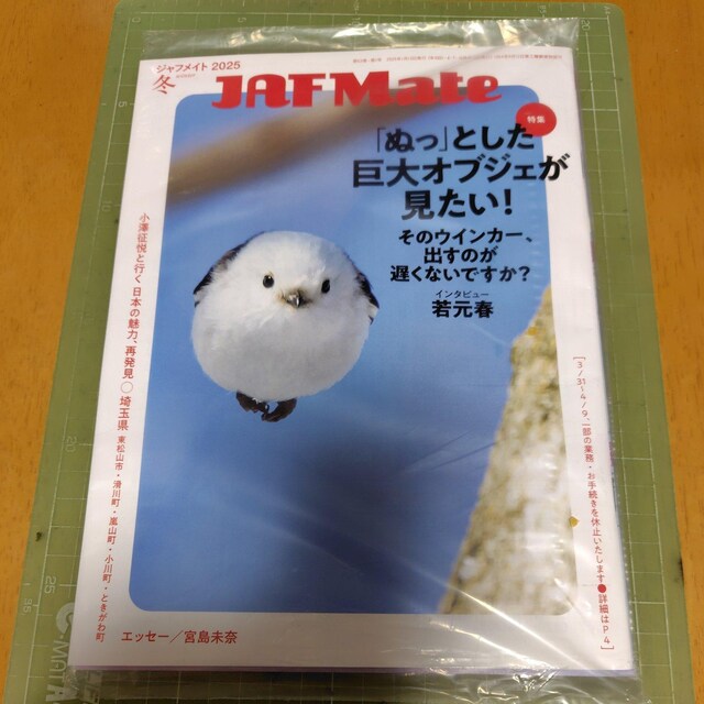 JAF mate 2025 ~ 