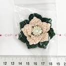 13*nhCh|CZ`Aԃ`[t@11