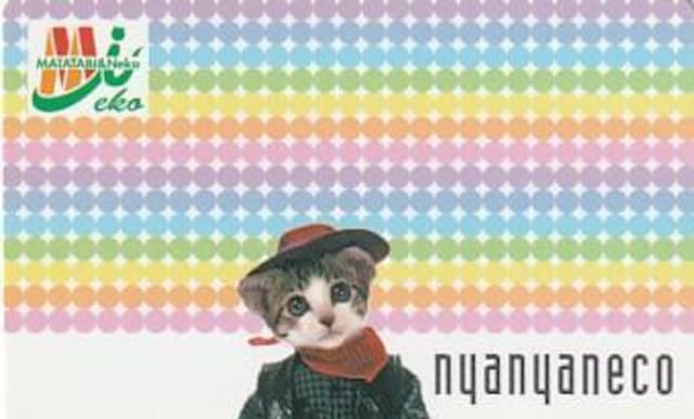 ȂߔLpfB[J[h 4yB-19z  zr[ 