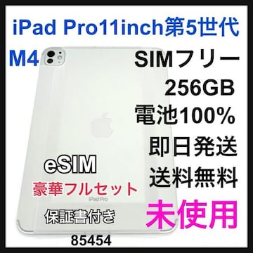 gp@iPad Pro 5 11C`  M4 256GB SIMt[