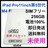 gp@iPad Pro 5 11C`  M4 256GB SIMt[