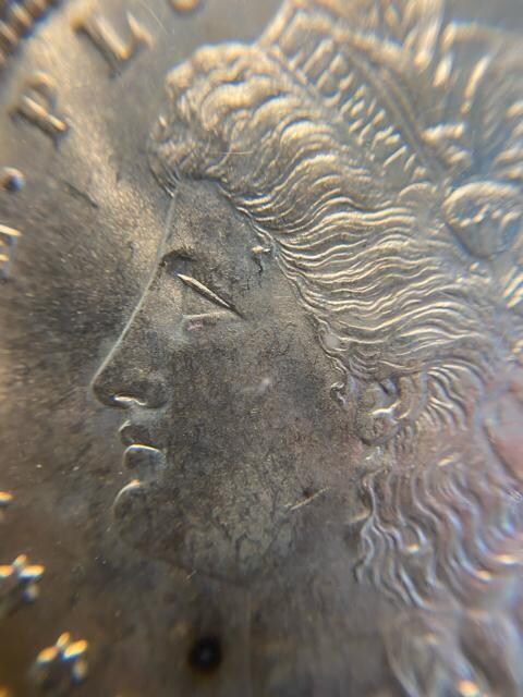 PCGS NCG AeB[NRC@K_[@݁@ÑK  zr[ 
