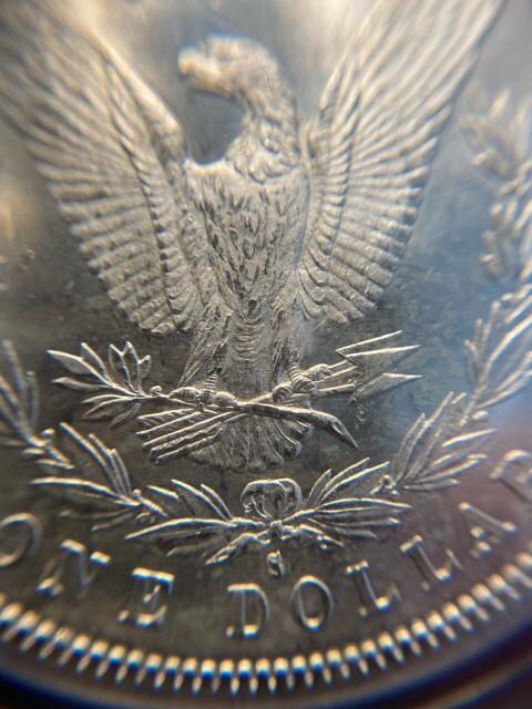 PCGS NCG AeB[NRC@K_[@݁@ÑK  zr[ 
