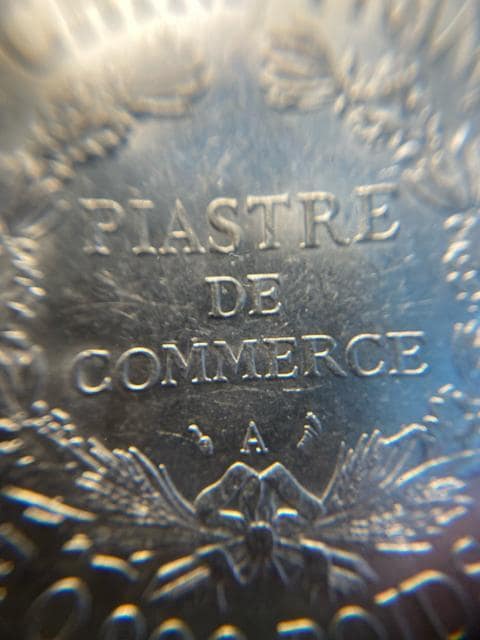 PCGS NCG AeB[NRC@݁@sAXg  zr[ 
