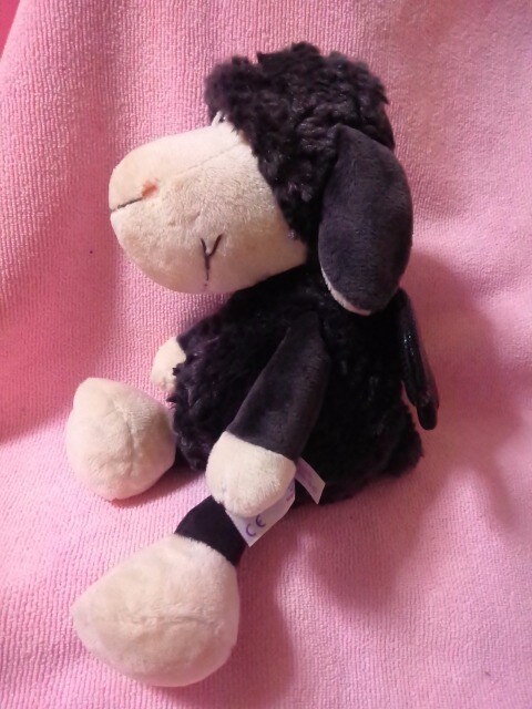 NICI(jL)qcWʂ25p   