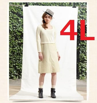 Vi傫TCY4L17i`ns[X N[