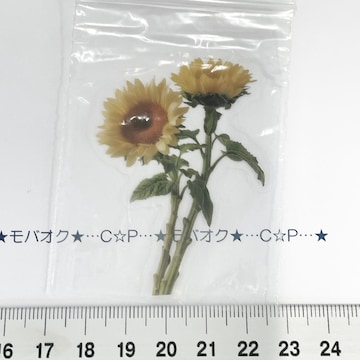 1*װޭف6