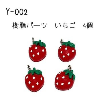 Y-002 p[c C`S̃`[ S@