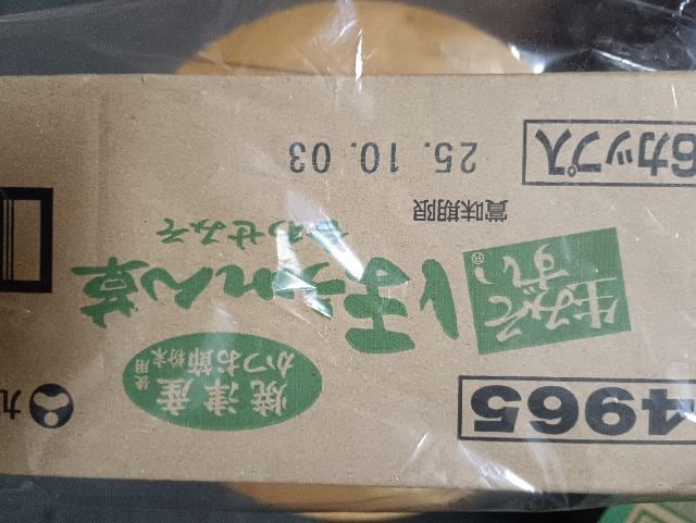݂Aق񑐁A6Jbv  O/hN 