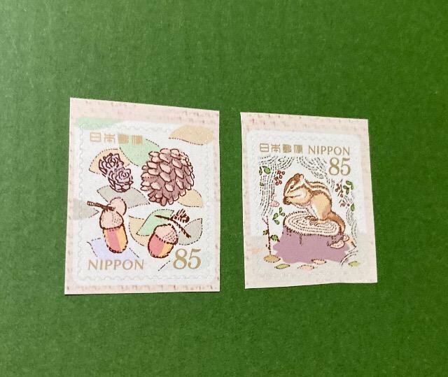 2024H̃O[eBO85~؎~2큚zʍv170~V[gp 