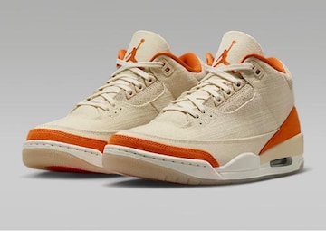 AIR JORDAN 3 g