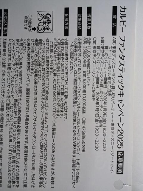 Jr[ t@^XeBbNLy[2025 fBYj[ }[N80_&nKL