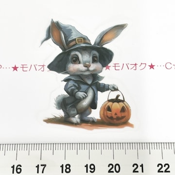 31*װޭف4