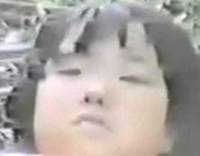 u}Chʐ^ꖇ(gf) D2-450 