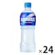 y24{zANGAX 500ml 1(Ⓚp)iMǑ΍)