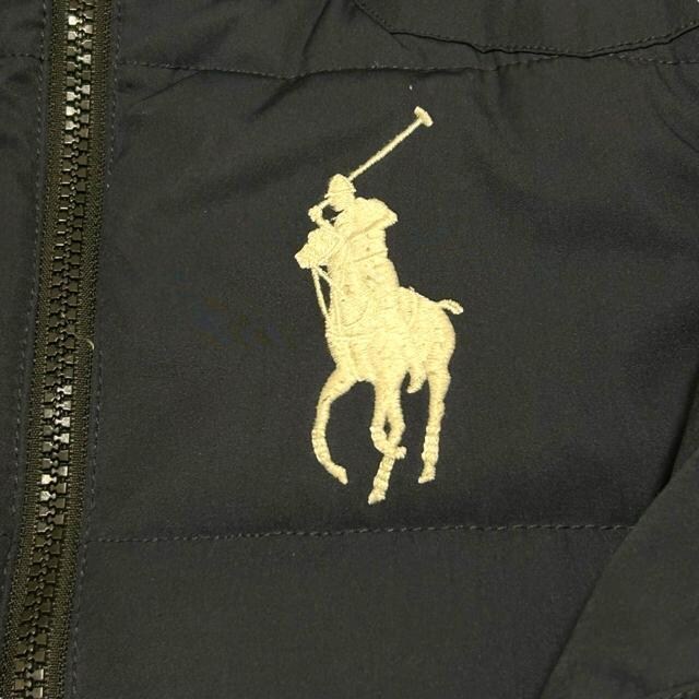 | t[ rbN|j[ _EWPbg TCY120 F WPbg RALPH  LAUREN  LbY/xr[ 